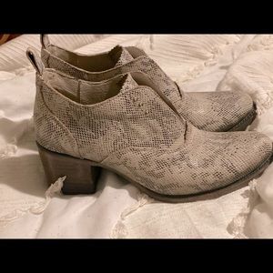 Freebird By Steven Sadie